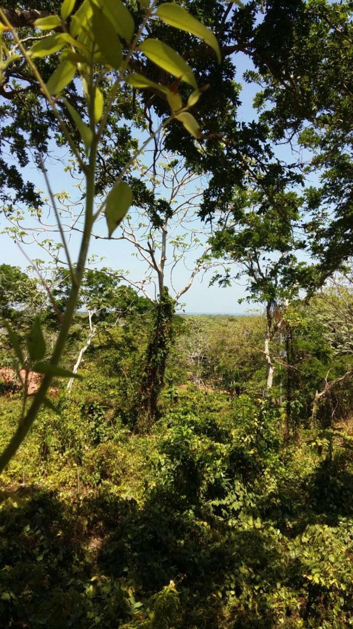 Apartments Chez Milady Utila Kültér fotó